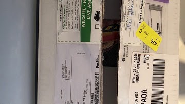 Unboxing my new investment grade Ball Python