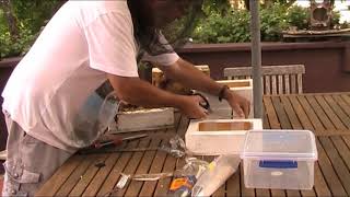 First solo split of the Australian native bee hive