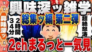 【2ch興味深い雑学スレ】総集編 第２弾！明日誰かに話したくなる有益で無駄な豆知識がつく2chネタまとめ【作業用】 [ ゆっくり解説 ]