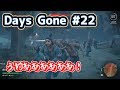ゾンビ大群恐怖症な男が悲鳴をあげながら戦う【Days Gone #22】