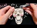 【ASMR】あなたの脳と繋がった不思議なドクロ、凝り固まった脳を柔らかくする脳マッサージ、耳かきなどでリラックス/Brain massage,relaxing,sleeping,trigger