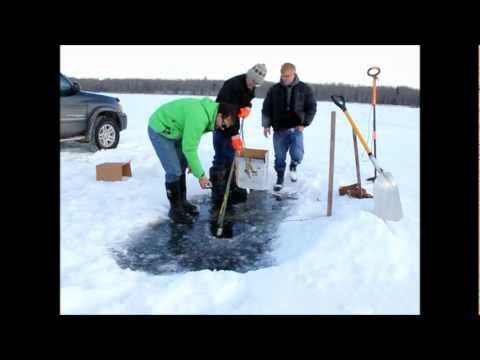 South Buck Lake Alberta Net Fishing for Whitefish January 2013 