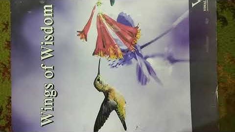 Class-5, Subject-Moral Science, Video-21, Revision, Activity-5 by Mrs Jyoti Sharma