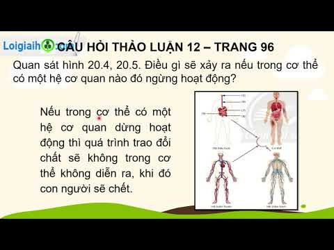 Video Trả lời câu hỏi mục 3 trang 96 - 97 SGK Khoa học tự... - YouTube