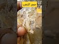 حجر المرو حامل الذهب