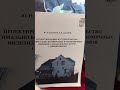 23 августа 2025 г.