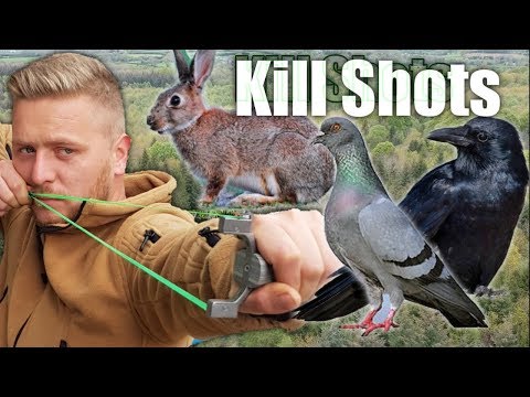 catapult-hunting/pest-control-pigeon-crow-and-rabbit