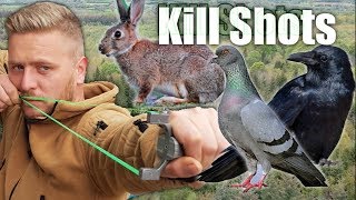 Catapult Hunting/Pest Control Pigeon Crow and Rabbit