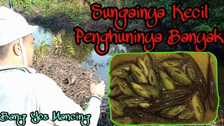 Mancing Ikan Papuyu di Rawa Kalimantan