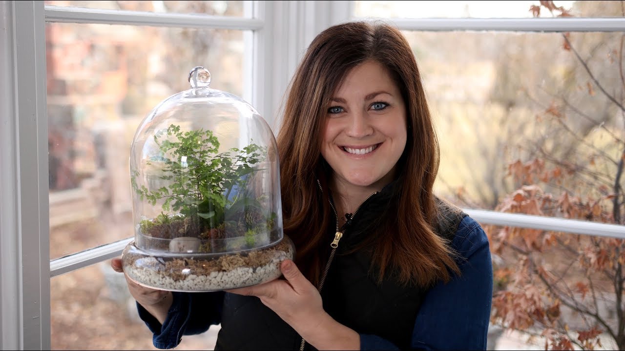rækkevidde bagværk regering Putting Together a Terrarium with Ferns! 🌿💚// Garden Answer - YouTube