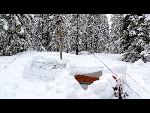 Видео: Къщата на Далас в градината от архитектите в Кънингам