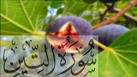 Surah At-Tin (سورة التين) - The Fig | Arabic - English Subtitles | Hafiz Sohail Akhtar