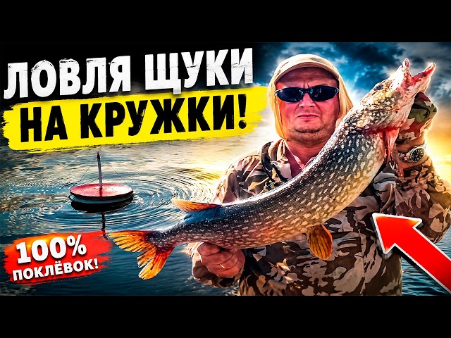 ЛОВЛЯ ЩУКИ НА КРУЖКИ: секрет, который скрывают старые щукари! Не ставь кружки, пока не увидешь это!