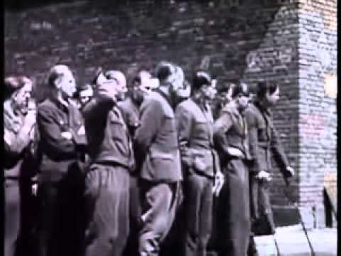 Malmedy Massacre - What Happened? Rare Original Film (WW2 Documentary)