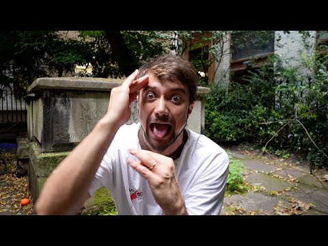 O QUE ESTOU FAZENDO NO CEMITÉRIO?