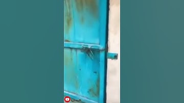 محمد هشام أدخلوها بسلام ذلك يوم الخلود سورة ق حالات واتس أب
