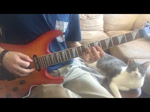 State Champs - Stitches Guitar Cover | HD