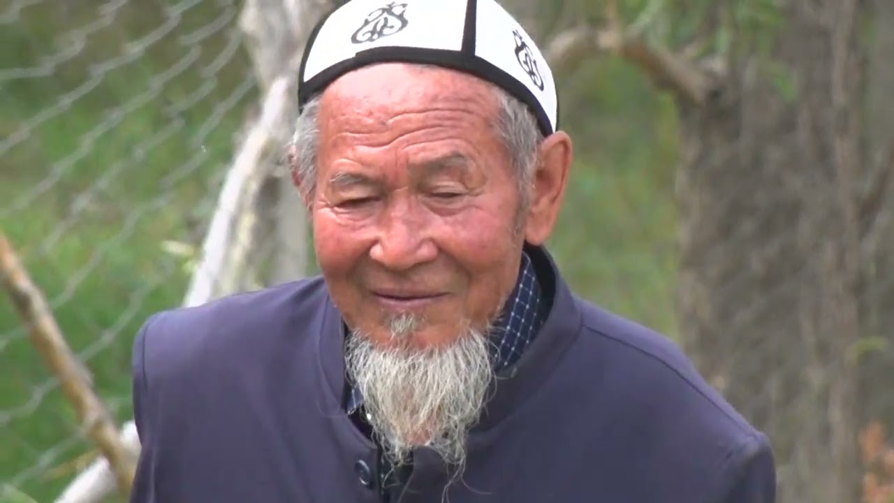 ТАРЫХЫЙ СЫРЛАРГА БАЙ ЗАРДАЛЫ