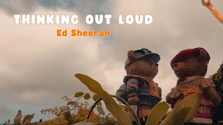 Ed Sheeran - Thinking Out Loud [LYRICS]