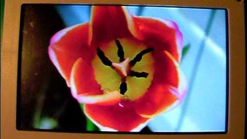 Photo Frame Mini 2440