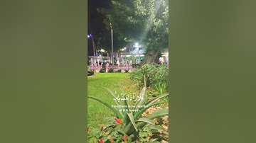سورة يونس (الآية 107) #راحة_نفسية