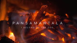 I Belong to the Zoo - Pansamantala (Live Acoustic Session)