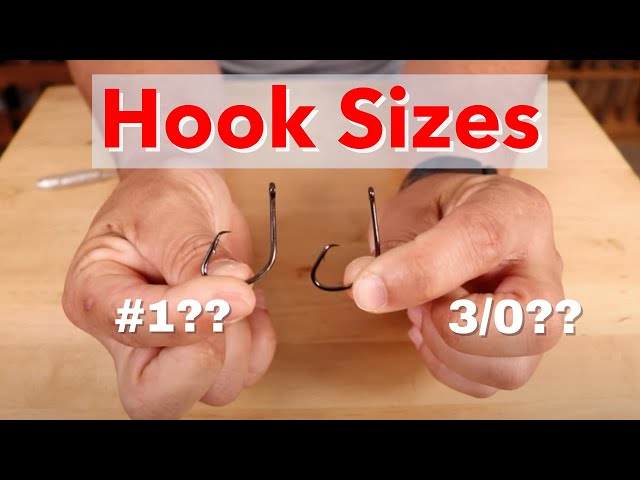 Everything You Need To Know About Fishing Hook Sizes 