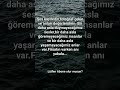 Anı yakala. #shorst #shortvideo #trend #viral #kitle #keşfet #şiir #şiirheryerde #reels #keşfetvideo