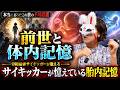 サイキッカーが憶えている胎内時の記憶とは！？【投稿・不思議な話】