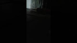 Mbah Tumi Turu1