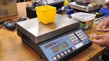 Scale Setup Guide: Setra Super Count