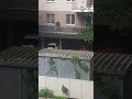 funny video СМІШНЕ ВІДЕО 🙃🙂🙃🙂 #funny video