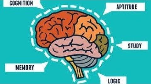 Cognitive Functions- Thinking , Reasoning and Problem Solving