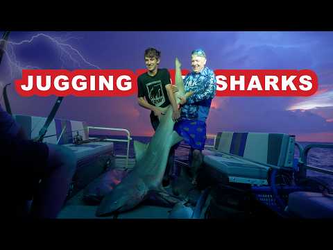 Jugging for Sharks in a Storm