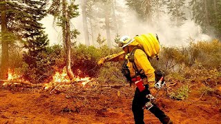 ABD'nin batısı yanıyor: Ekipler orman yangınlarının hızına yetişemiyor