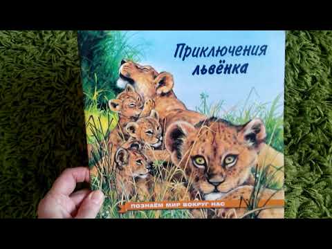 Книга приключение львенка VID 20190422 100550 из Sulpak https://www.sulpak.kz/petropavlovsk