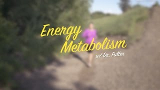 Introduction to Energy Metabolism w/ Dr. Fuller (video promo filmed on a Sony a6500)