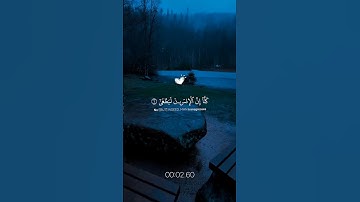 سورة العلق❤️ #قرآن #المصحف #لايك #اكسبلور #quran #المنشاوي