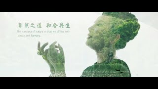 ancient call|Listen attentively to the ancient echoes, encounter your most authentic self|wuluohai