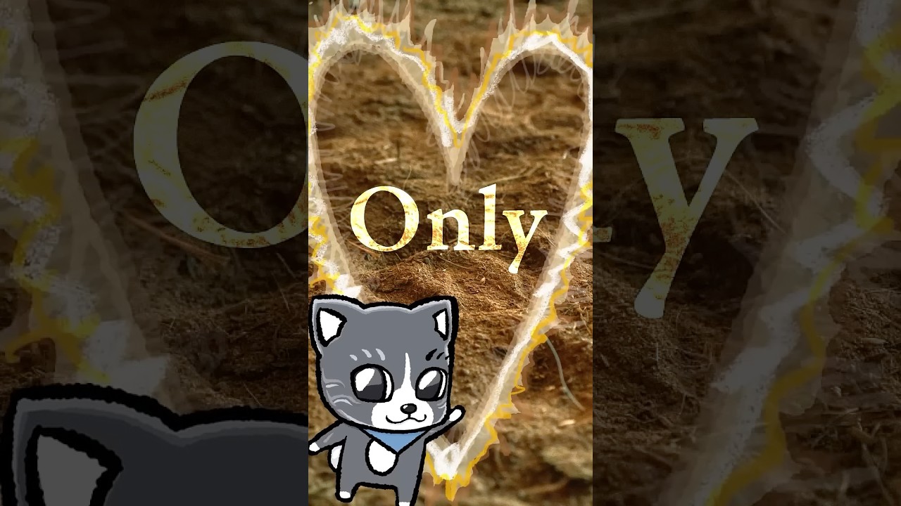 オンリーわんでナンバーわん☝️