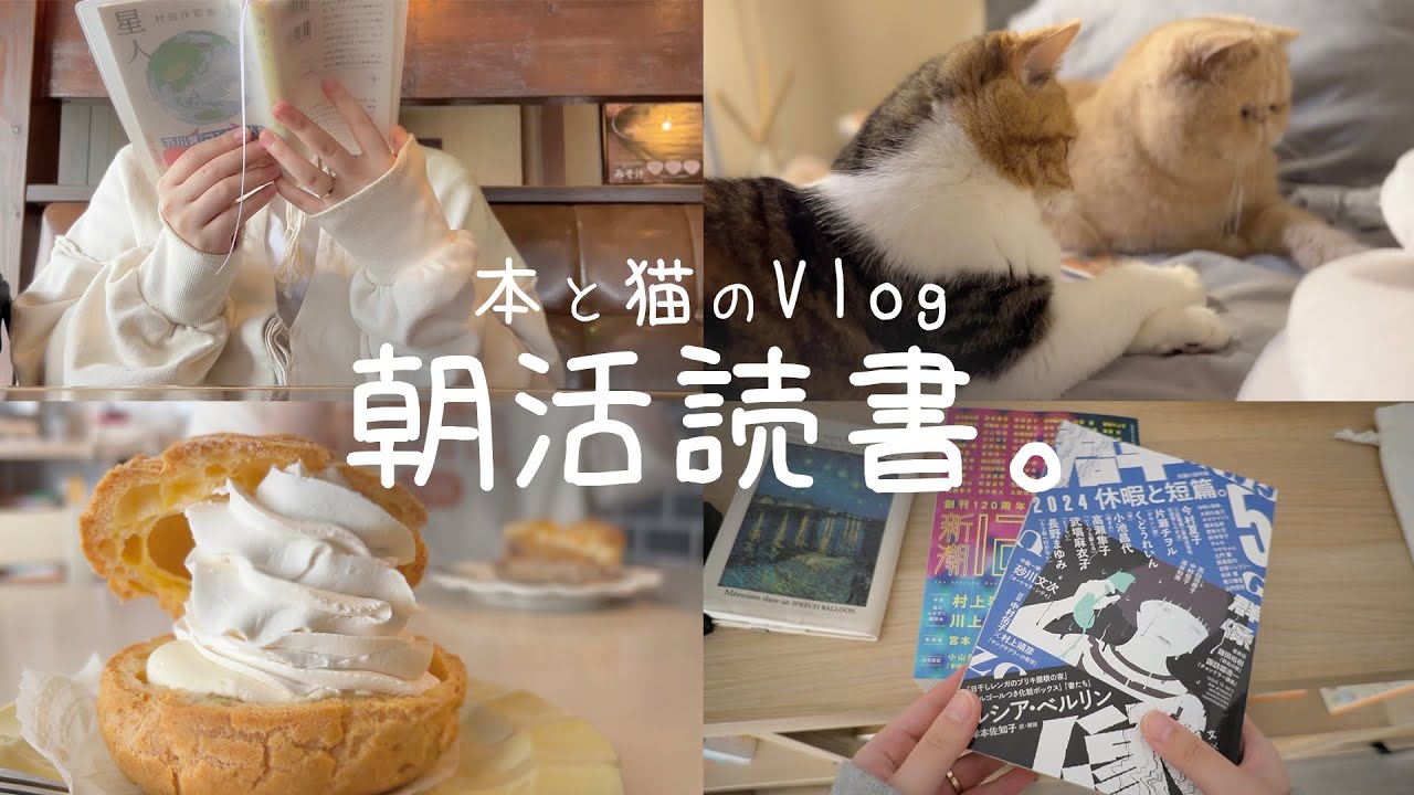 Удачный день утреннего чтения📚,Жизнь с кошками🐈,Ежедневная запись [ReadingVlog].