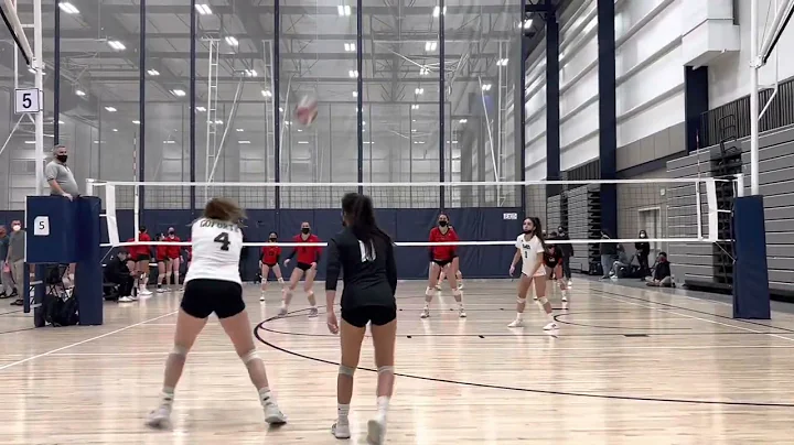 Ashley Gilbert #11