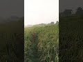 #hindisong  #shorts #song #gnspatelg #ytshorts #nature #youtubeshorts