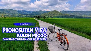 Pronosutan View; Sawah Instagramable di Kulon Progo, Yogyakarta