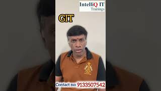 Famous Learn DevOps the Right Way! Start with AWS Training at IntelliQ IT Net Worth