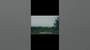 يَهْدِي اللَّهُ لِنُورِهِ مَن يَشَاءُ 🤍✨️ #القرآن_الكريم #تلاوة #خشوع #سورة_النور #آية #المنشاوي