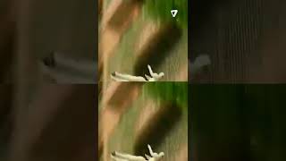 Insólito Video De La Caída De Alejandra Pradón