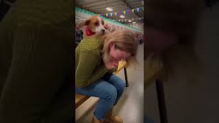 My heart melted when I watched these cute moments of dog adoption