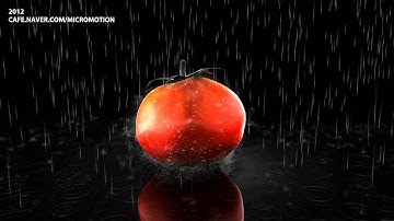 maya particle animation (마야 파티클 애니메이션)