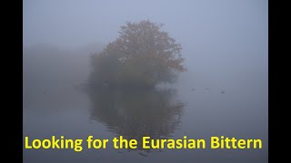 Searching for the Bittern Searching for the Bittern